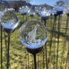 5061098722163 1 3D Crystal Ball Decorative Garden Stake Ornament Giraffe.jpg